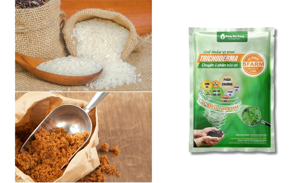 Chuẩn bị gạo giá rẻ, đường nâu, chế phẩm vi sinh SFARM