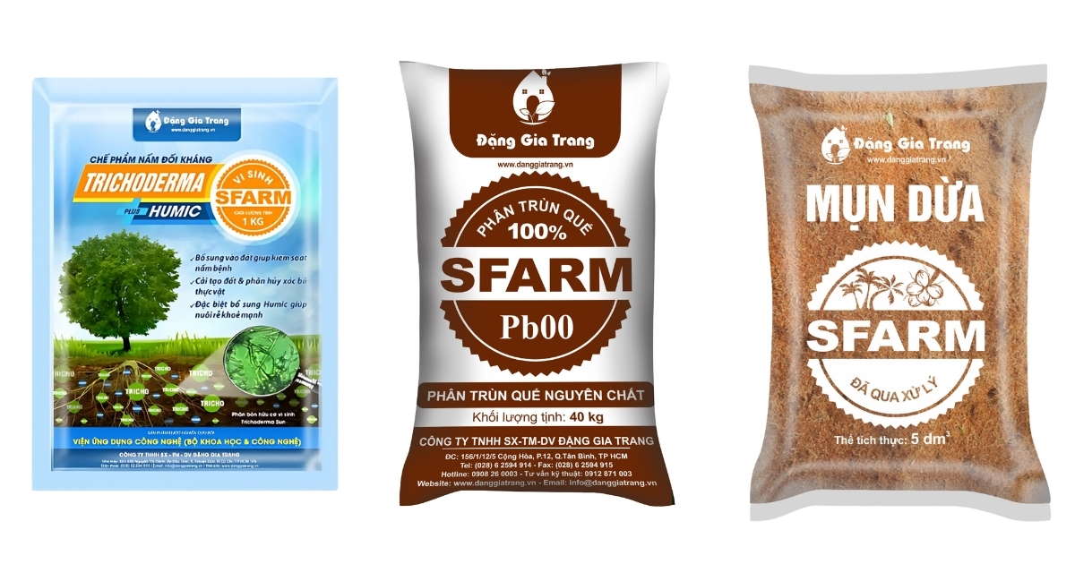Bón Trichoderma cùng phân hữu cơ hoặc mụn dừa giúp tiêu diệt mầm bệnh