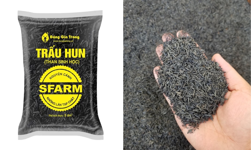 ung dung than sinh hoc tai viet nam 3
