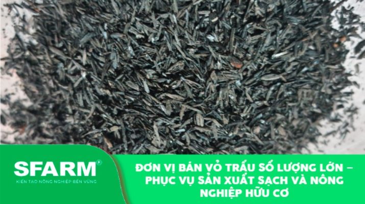 Đơn vị bán vỏ trấu số lượng lớn – Phục vụ sản xuất sạch và nông nghiệp hữu cơ