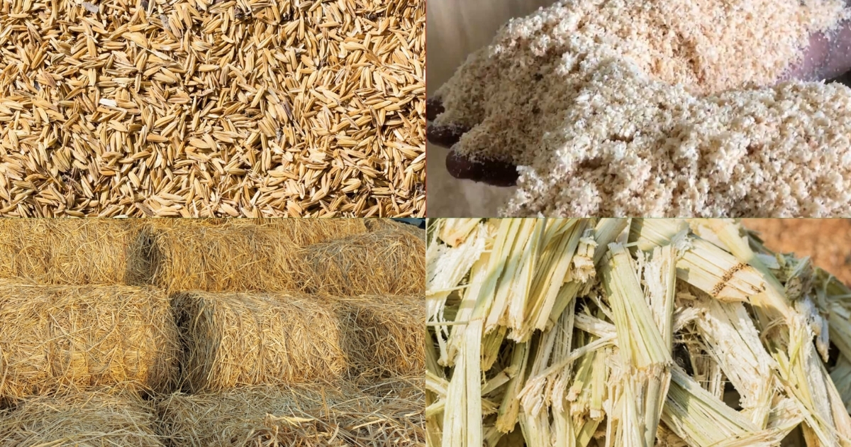 So sánh trấu với các nguyên liệu khác