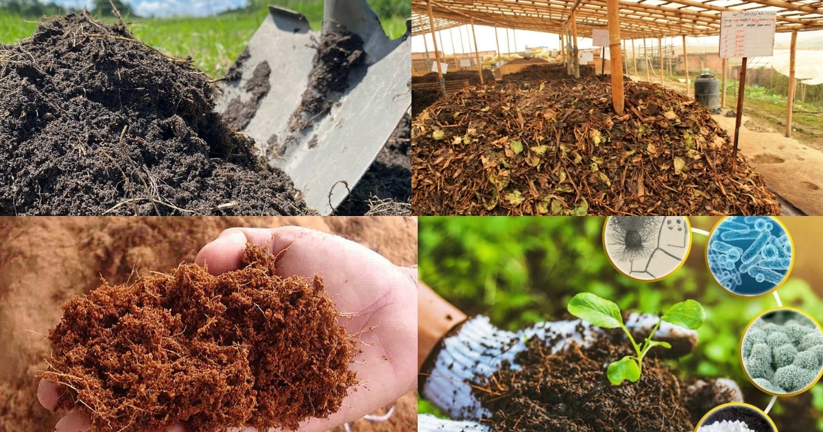 Các nguyên liệu phổ biến để làm phân hữu cơ
