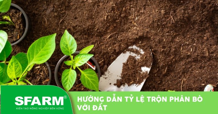 Tỷ lệ trộn phân bò với đất: Cách pha chuẩn cho từng loại cây
