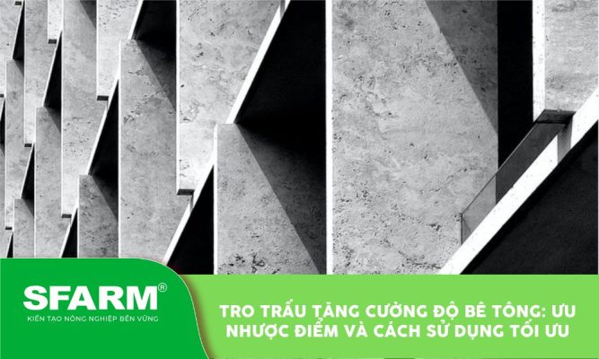 Tro trấu tăng cường độ bê tông: Ưu nhược điểm và cách sử dụng tối ưu