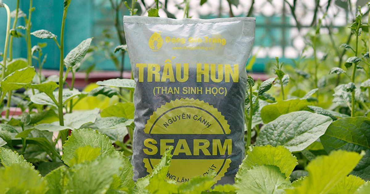 Đặc điểm và thành phần của trấu hun