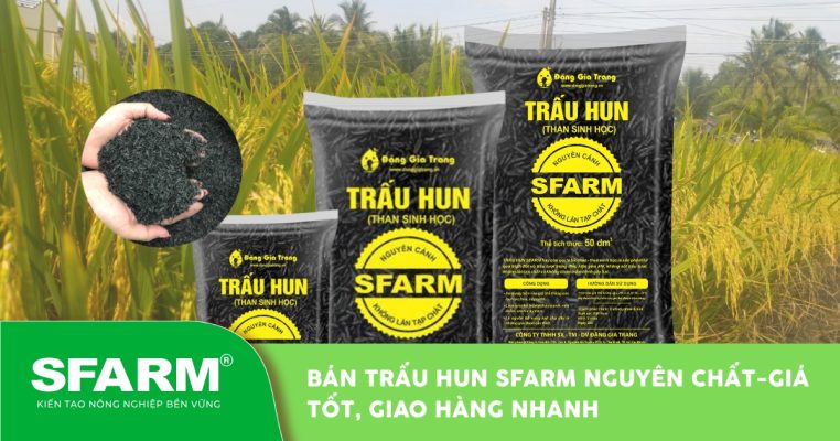 Bán Trấu Hun SFARM Nguyên Chất– Giá Tốt, Giao Hàng Nhanh