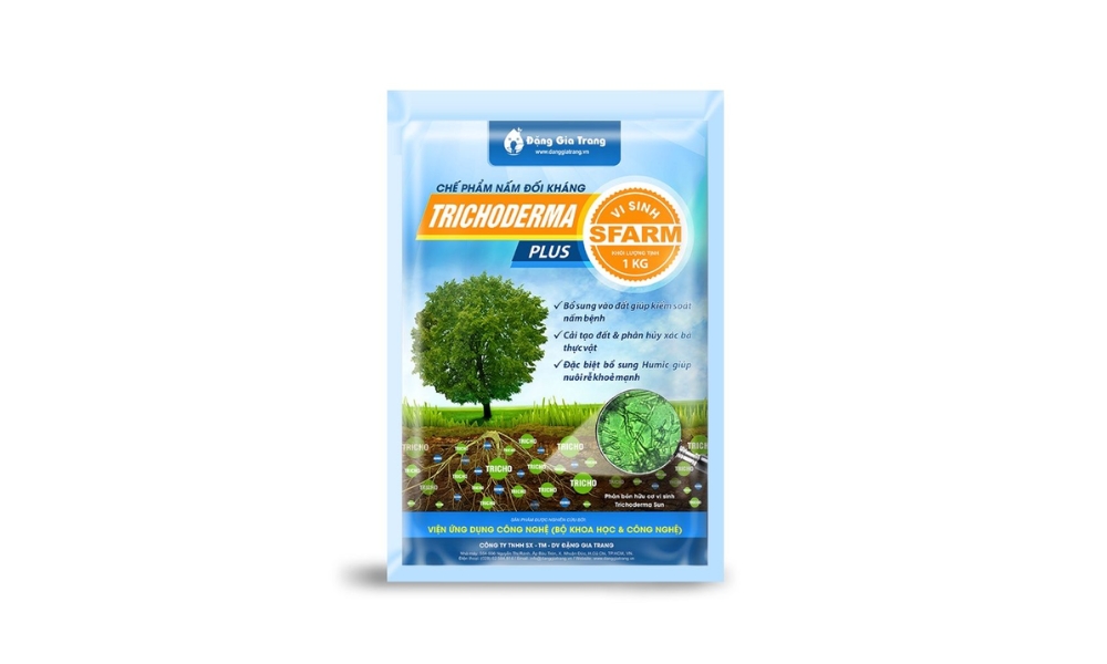 Kết hợp Trichoderma để hạn chế nấm Phytophthora kết hợp với virus