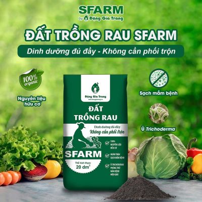 cach diet gian dat trong dat trong rau 6