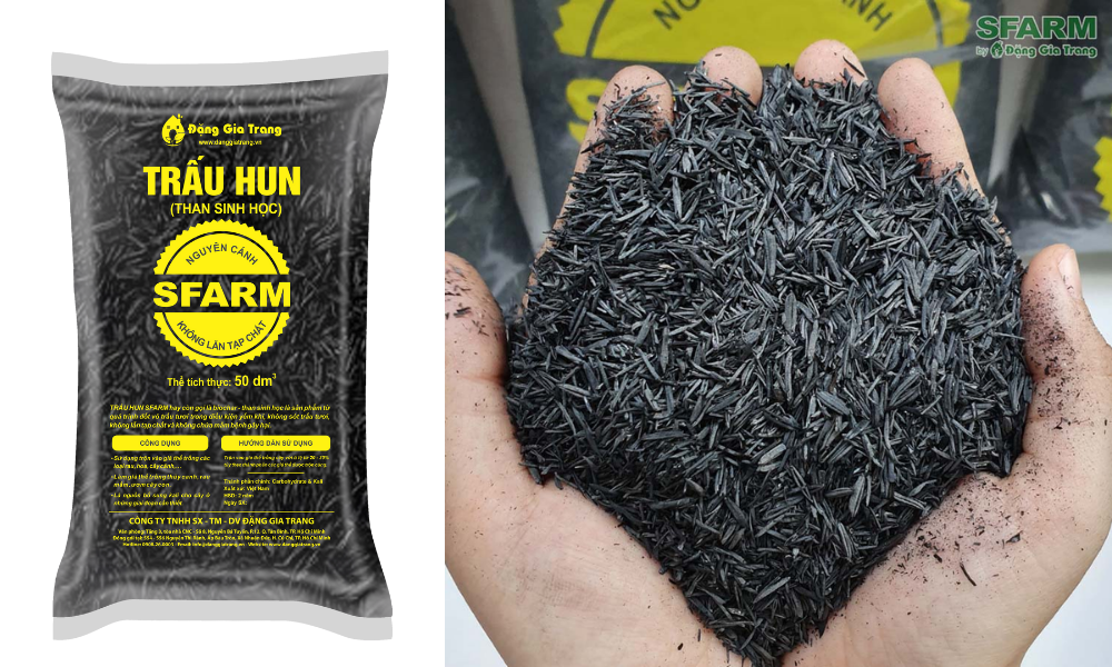 Trấu hun giúp hấp thụ tạp chất hiệu quả
