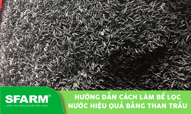 Cách làm bể lọc bằng than trấu đơn giản tại nhà