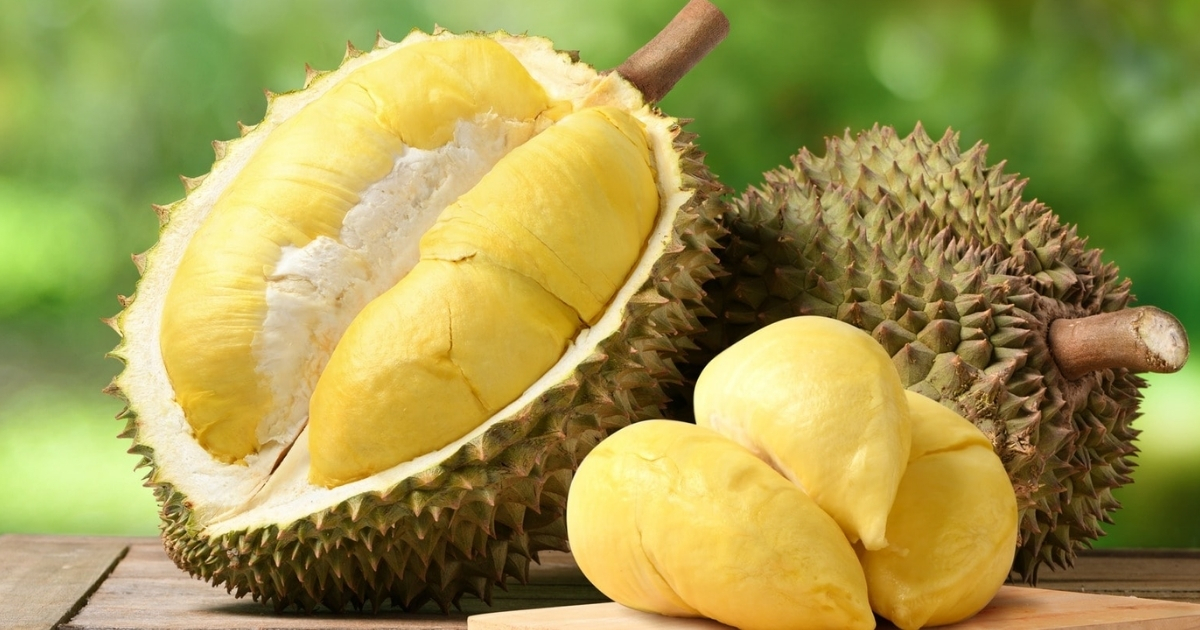 Phân biệt phần cuốn và đáy của quả sầu riêng