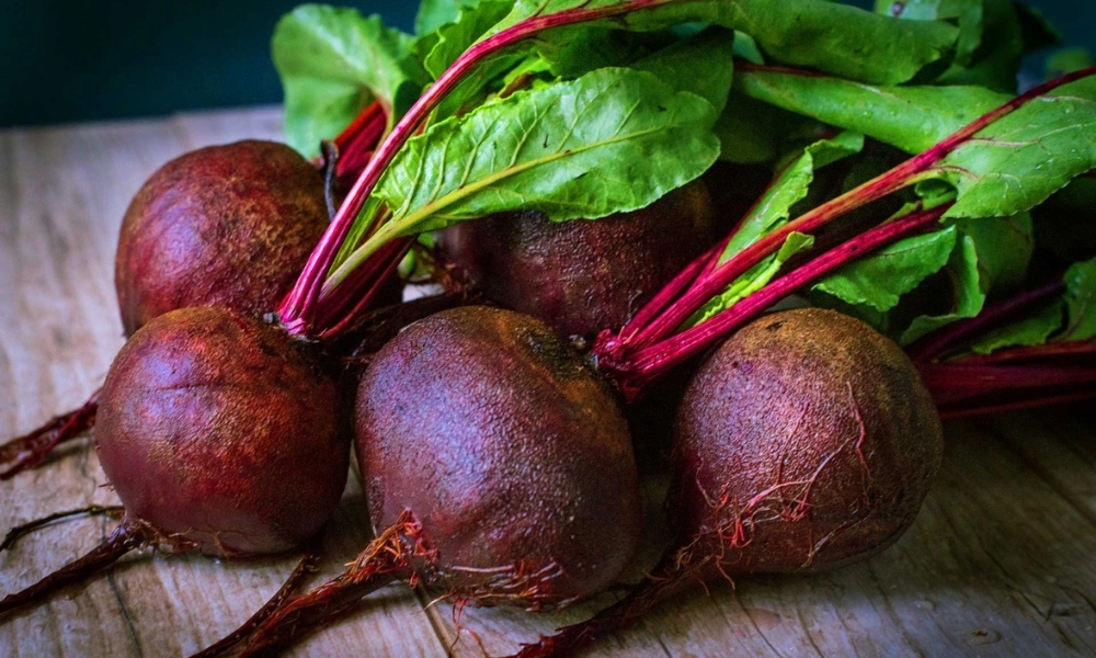 Đặc điểm của củ dền