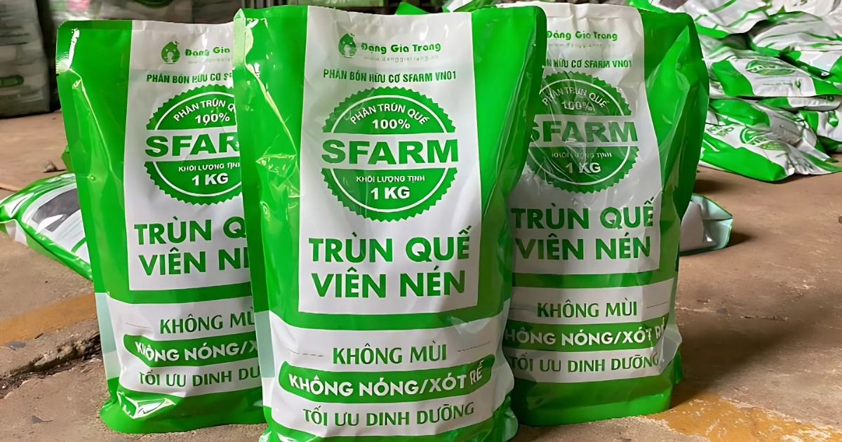 Sử dụng phân trùn quế viên nén để tăng cường vi sinh vật
