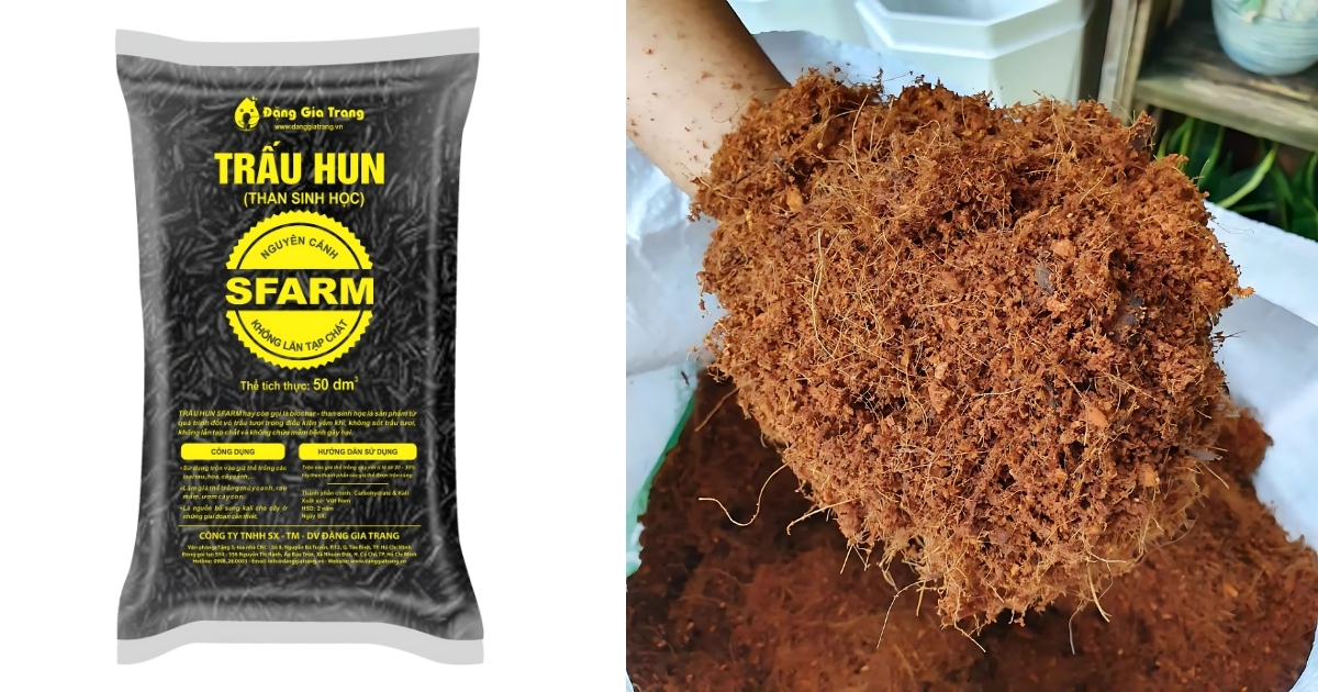 Dùng trấu hun và xơ dừa cho đất không bị úng sau mưa