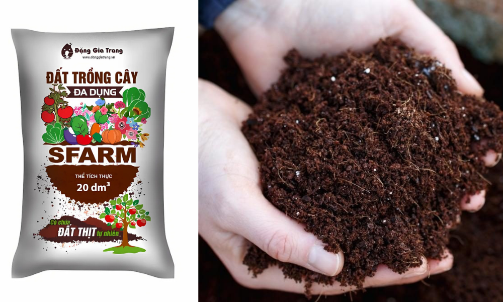 Đất trồng cây và phân hữu cơ giúp giàu dinh dưỡng và nuôi cây khỏe mạnh