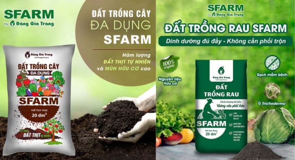dat trong cay bi kien 9 e1756391375646