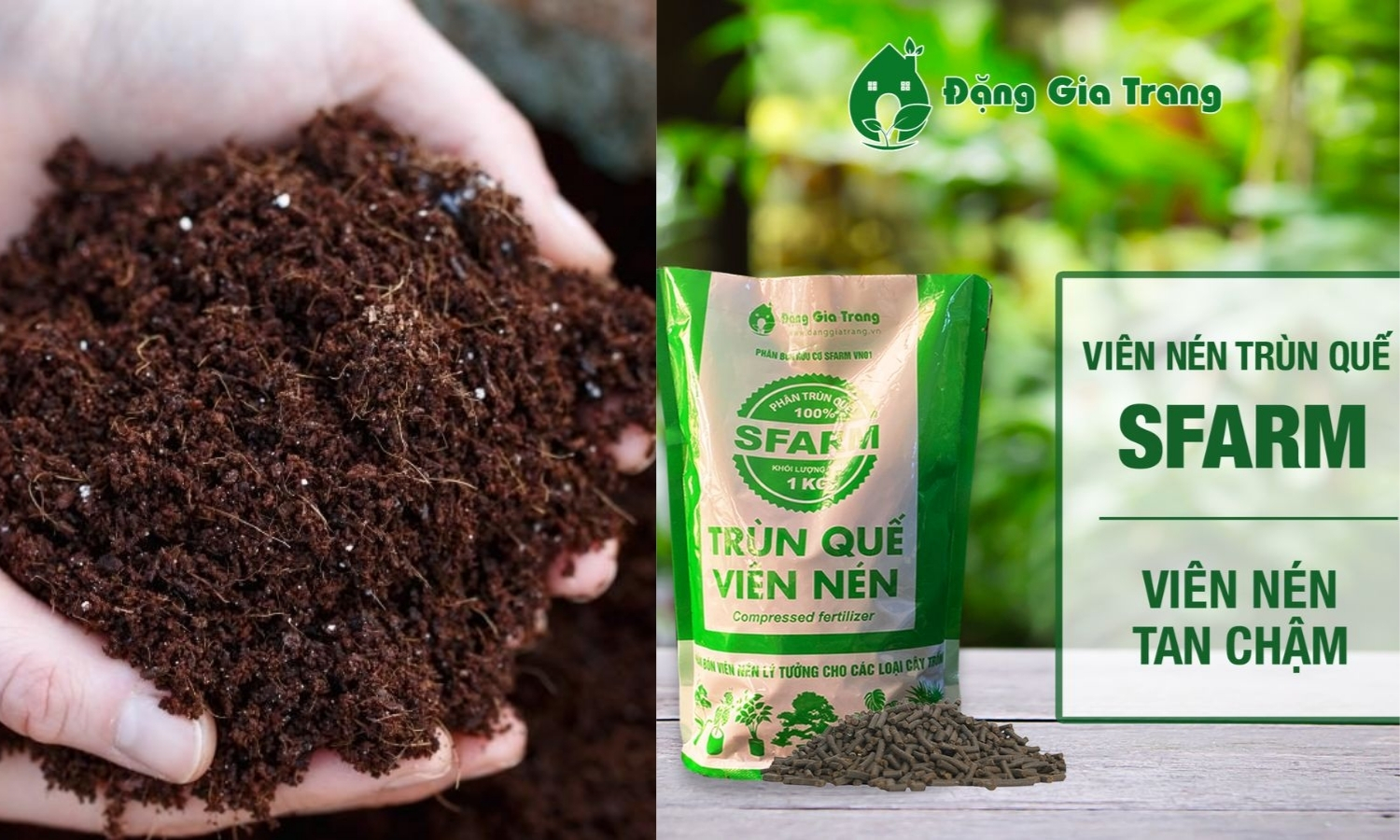Sử dụng phân hữu cơ hoặc phân trùn quế viên nén cho đất trồng địa lan
