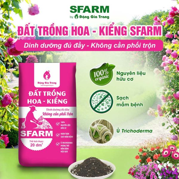 dat trong hoa sfarm 2 600x600 1