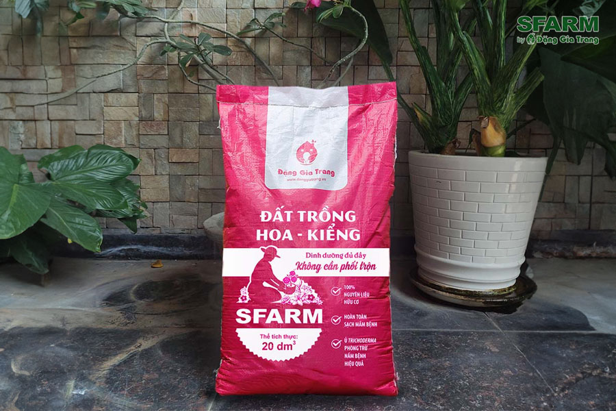 dat trong hoa sfarm