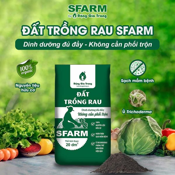 dat trong rau sfarm 2 600x600 1