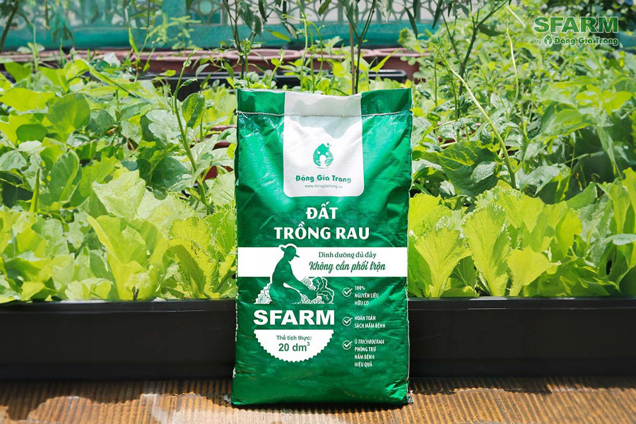 dat trong rau sfarm