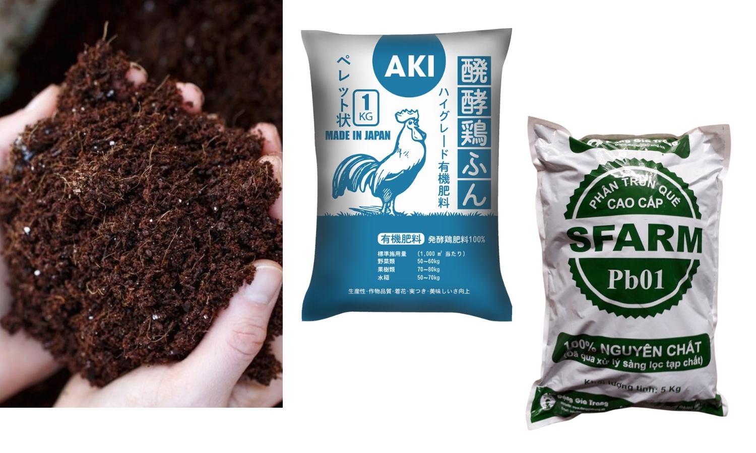 Bón phân hữu cơ, phân gà, phân trùn quế để bổ sung dinh dưỡng