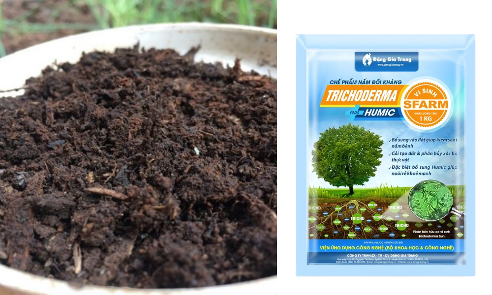 Sử dụng phân chuồng với Trichoderma Plus Humic SFARM để bổ sung vi sinh vật