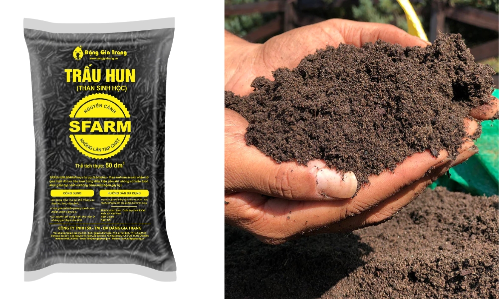 Kết hợp trấu hun với phân hữu cơ giúp cải thiện 