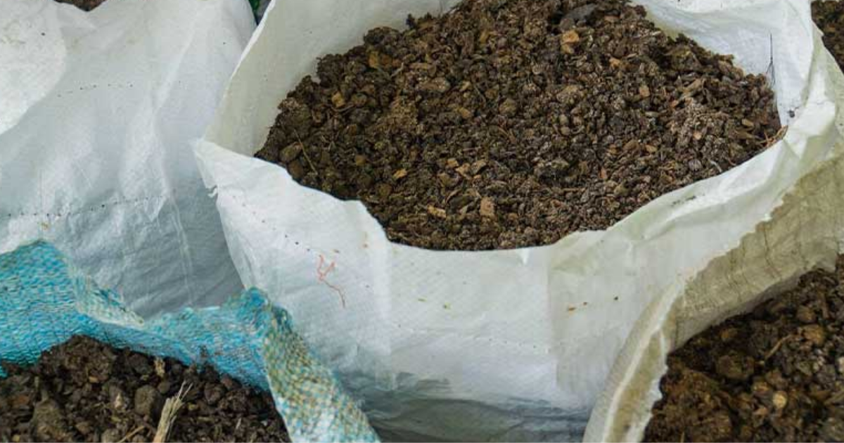 Ủ phân gà tại nhà