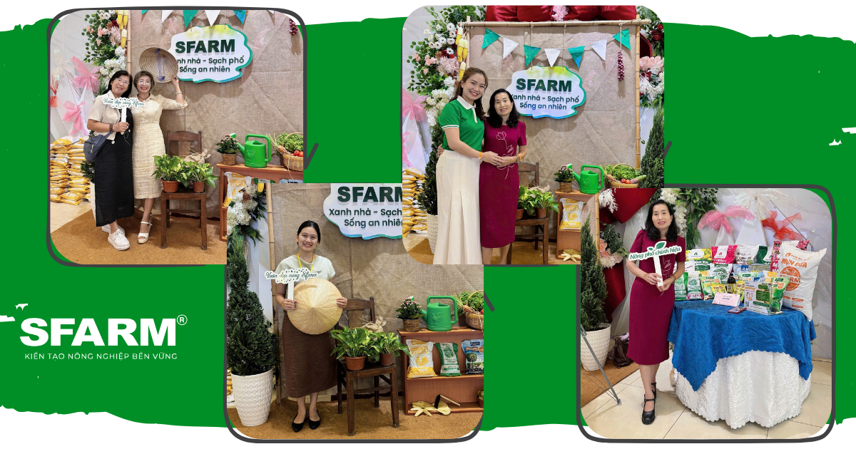 Gieo mầm xanh – Vun đắp tương lai