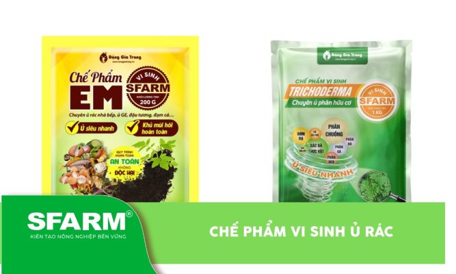 Chế phẩm vi sinh ủ rác