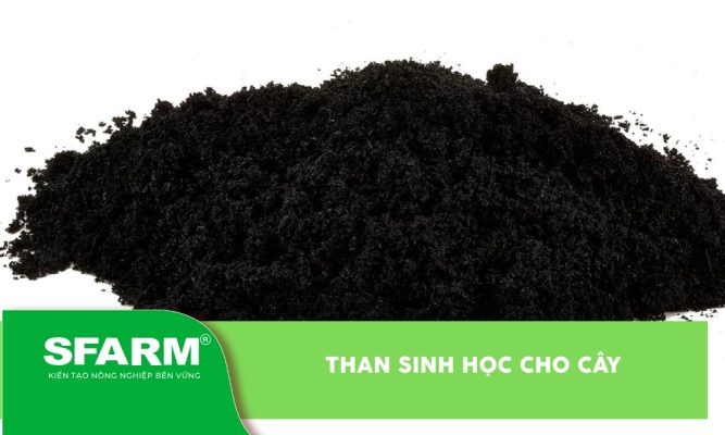 Than sinh học cho cây