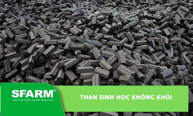 Than sinh học không khói