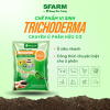 Chế Phẩm Vi Sinh TRICHODERMA SFARM - Ảnh 5