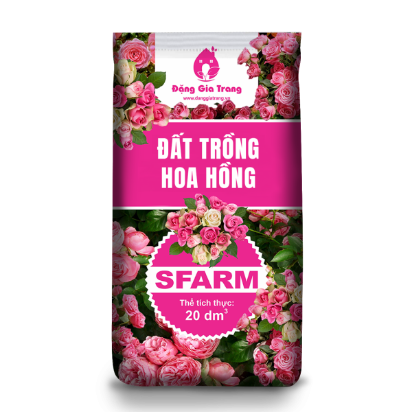 DGT Bao bi dat hoa hong EDIT 600x600 1
