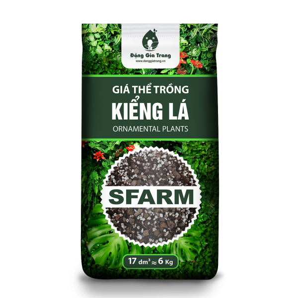 Gia the trong kieng la 20 lit 600x600 1