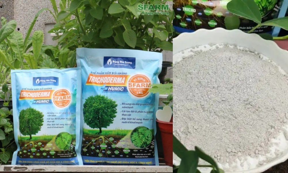 Chế phẩm Trichoderma Plus Humic SFARM