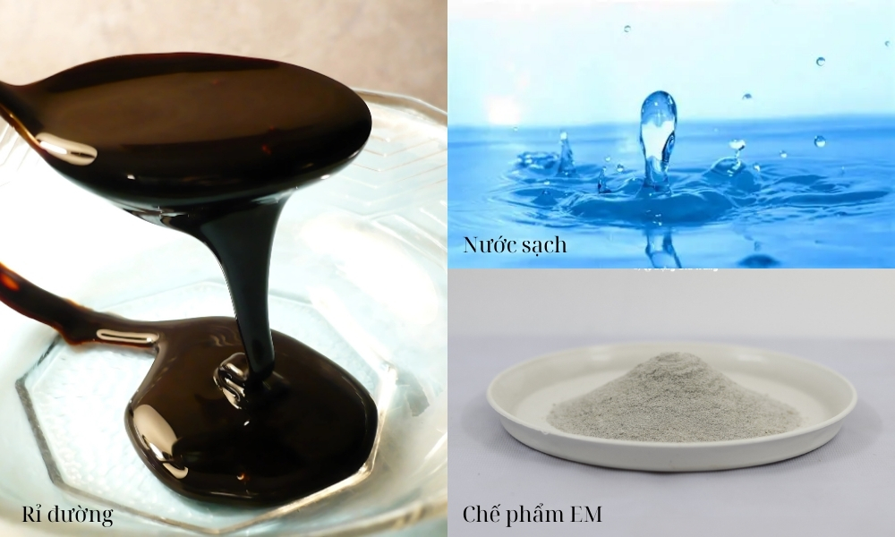 Trộn rỉ đường, nước sạch, chế phẩm EM theo tỷ lệ 1:10:0.1