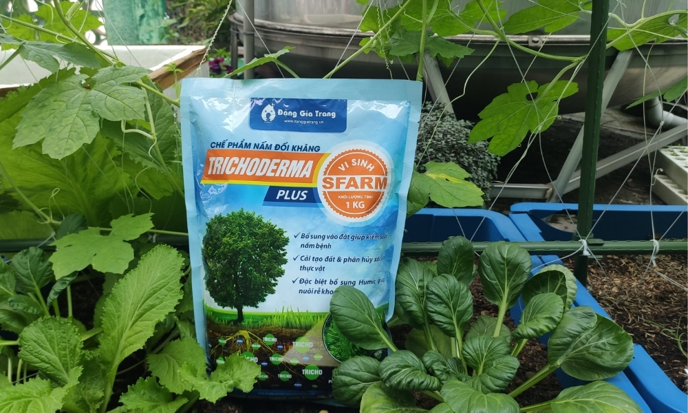 Chế phẩm vi sinh nấm đối kháng Trichoderma Plus Humic SFARM