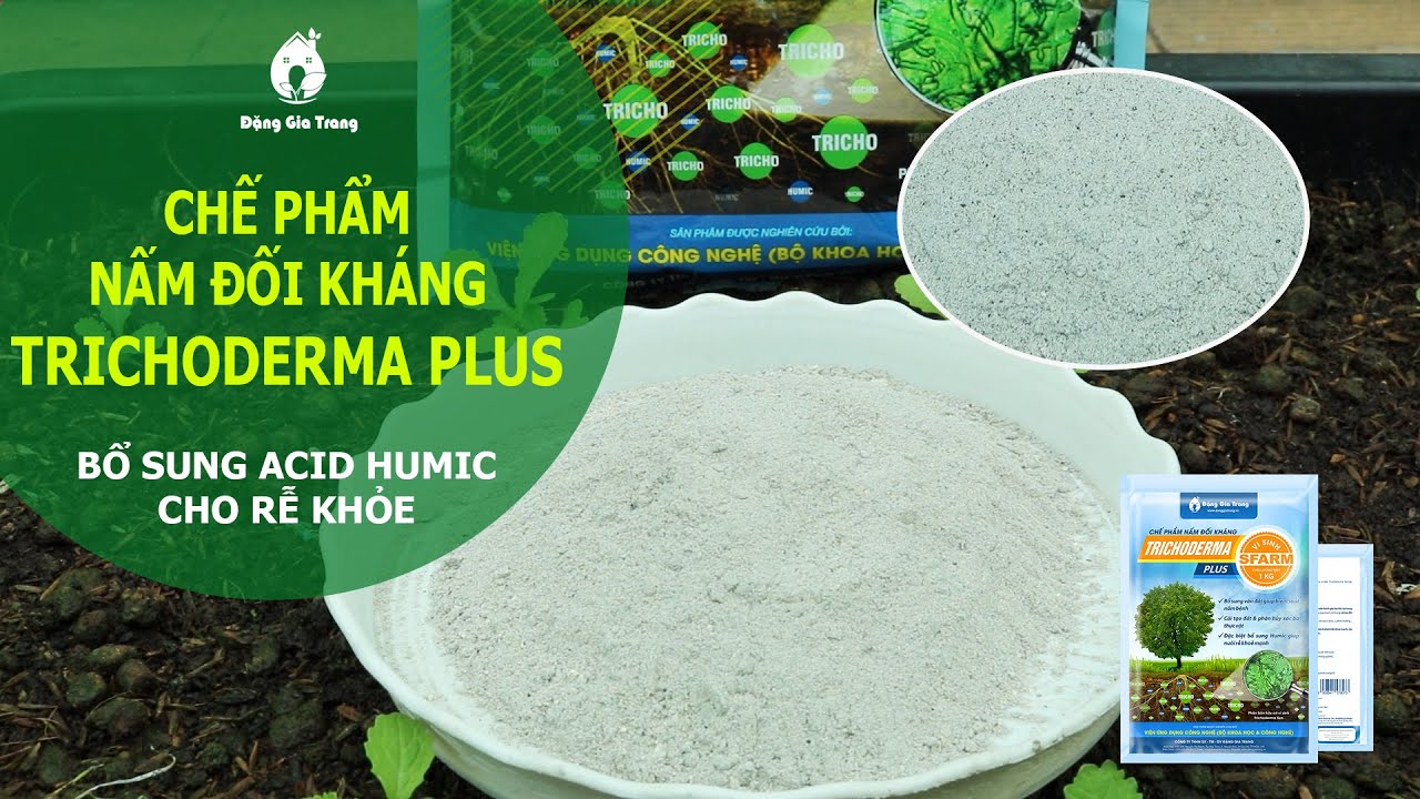 che pham trichoderma sfarm gia si 3