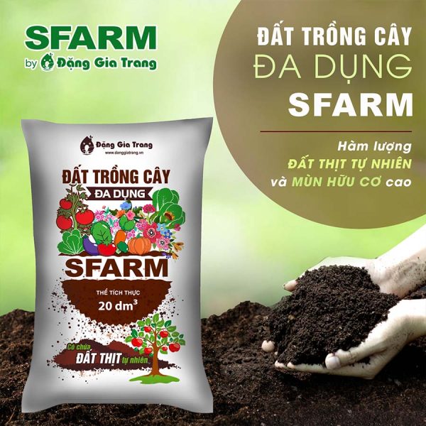 dat da dung sfarm gia si 2