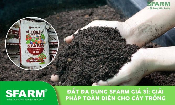 dat da dung sfarm gia si