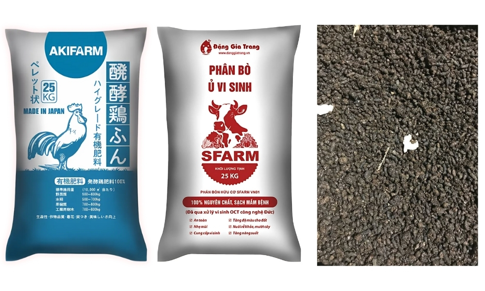 Bón phân bò, phân gà, phân dơi giúp đất thêm tơi xốp, giữ ẩm lâu 