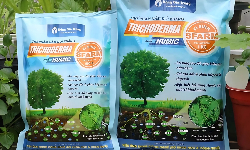 Sử dụng Trichoderma giúp đối kháng và tiêu diệt nấm hại