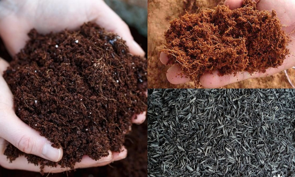 Trộn phân hữu cơ, xơ dừa hoặc tro trấu để tăng độ thoáng khí