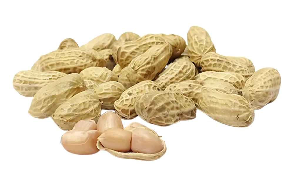 Đậu phộng mang lại dinh dưỡng và giá trị kinh tế