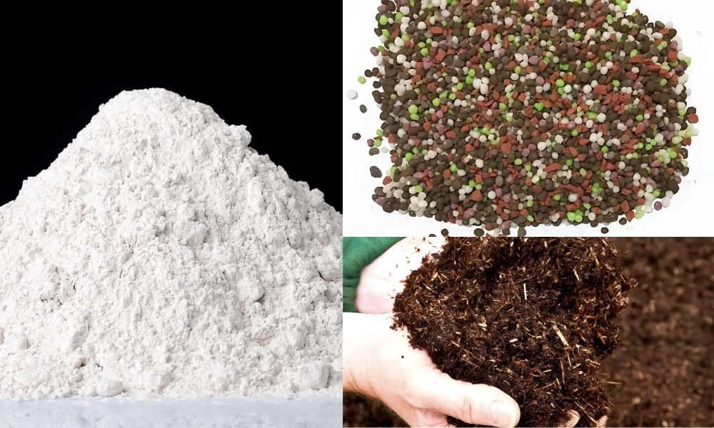 Phân hữu cơ kết hợp phân bón NPK và vôi giúp cân đối dinh dưỡng cho đất trồng cây đậu phộng