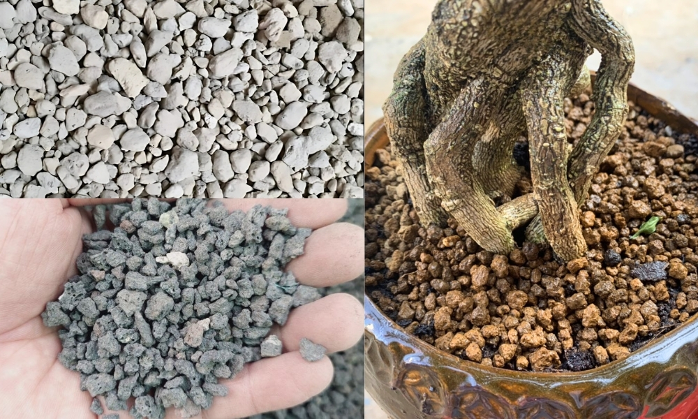 Nguyên liệu gồm đá pumice, đá lava và đất akadama giúp cây phát triển ổn định