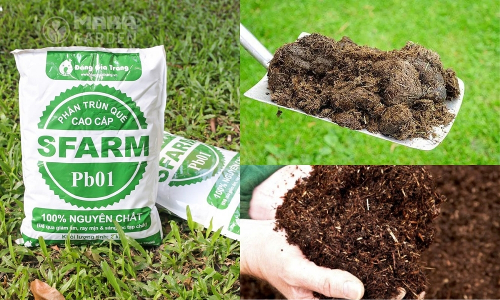 Bổ sung phân hữu cơ, phân chuồng hoặc phân trùn quế giúp đất giữ ẩm tốt, nuôi vi sinh vật có lợi
