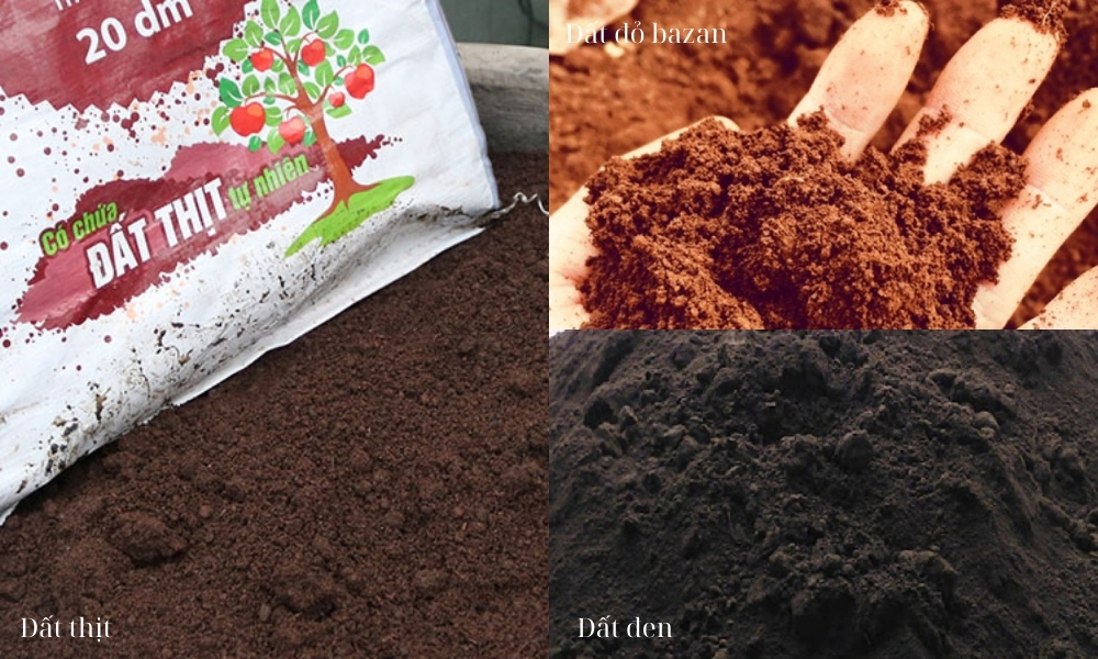 Các loại đất: Đất thịt, đất đen, đất đỏ bazan